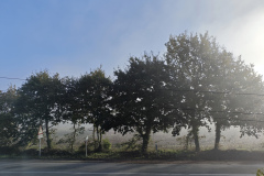 IMG_20251118_101331