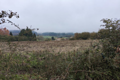 IMG_20251127_121858