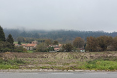 IMG_20251127_125640